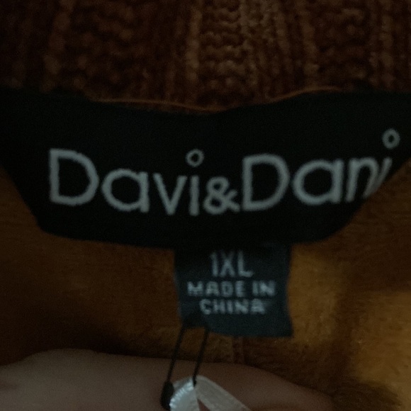 Davi & Dani Solid Plus Sized Coat With Long Sleeves In The Color Rust - Picture 3 of 4